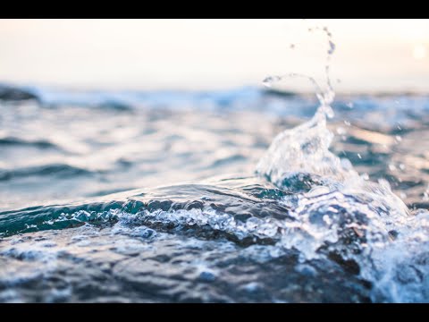 A-LEVEL | WHOLE OF WATER & CARBON | AQA