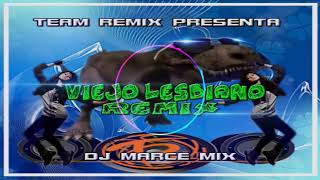 Viejo Lesbiano Fiestero Remix - Dj Marce Mix - Team Remix Djs Group
