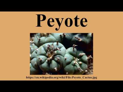 Peyote