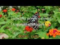 Poovukul Olinthirukum ️lyrical Whatsapp Status Jeans Movie Tamil Whatsapp Status Jeevi Cutz