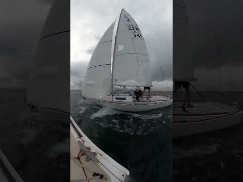2023 J22 North Americans leebow too close for protestor #sailing #entertainment #life #racing #smh