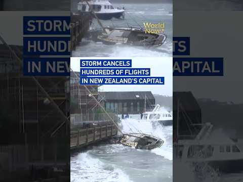 Storm cancels hundreds of flights in New Zealand's capital