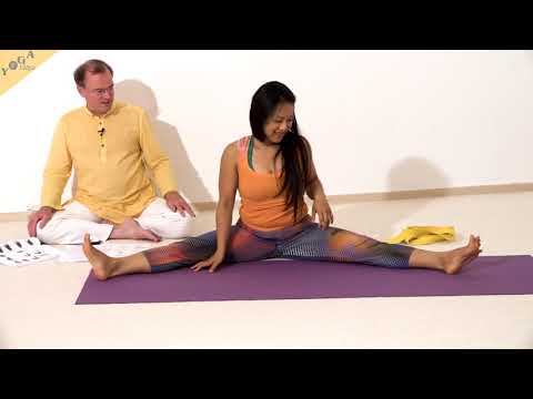 Pose des Weisen Vishvamitra - Yoga Asana Lexikon
