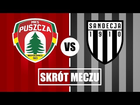 SKRÓT MECZU: Puszcza-Sandecja 1-2 (10.08.2019 r.)