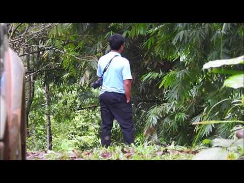 บึงน้ำทิพย์