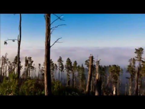 78 Manantial de inspiración - Una ofrenda especial