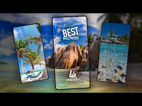 Tropical phone wallpapers Video