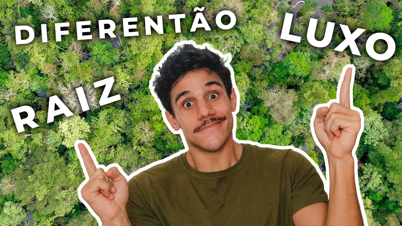 AMAZÔNIA | 3 HOTÉIS DE FLORESTA INCRÍVEIS: um raiz, um diferentão e um de luxo