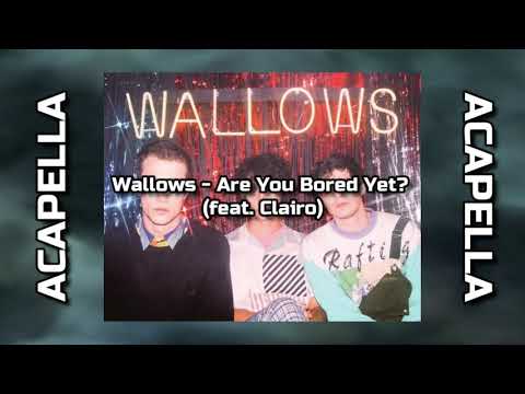 Wallows - Are You Bored Yet? (feat. Clairo) (ACAPELLA by XimeBeats)