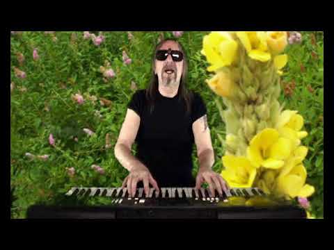 KUNT Lumír  -   Vítej, lásko má = Zojince