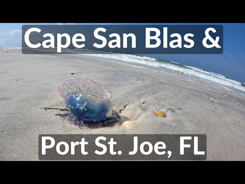 Forgotten Coast Florida — Real Estate & Lifestyle Overview — video preview