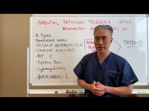 Understanding Thyroid Dysfunction Hashimoto s Part 1 Signs and Symptoms