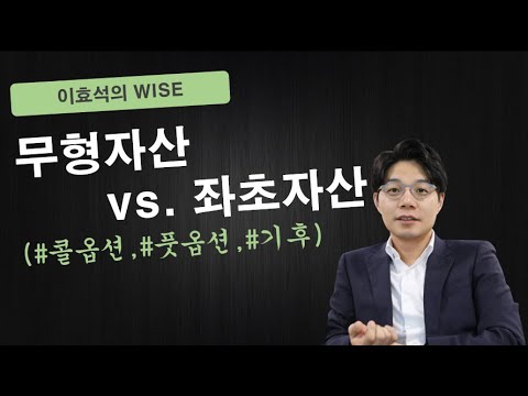 WISE - 무형자산 vs. 좌초자산