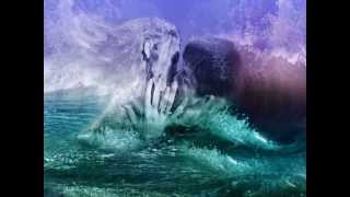 Sea Of Love - Marty Wilde