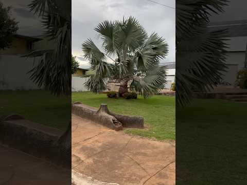 Ginásio de esportes na cidade de Alvorada Tocantins