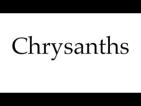 How to Pronounce Chrysanths
