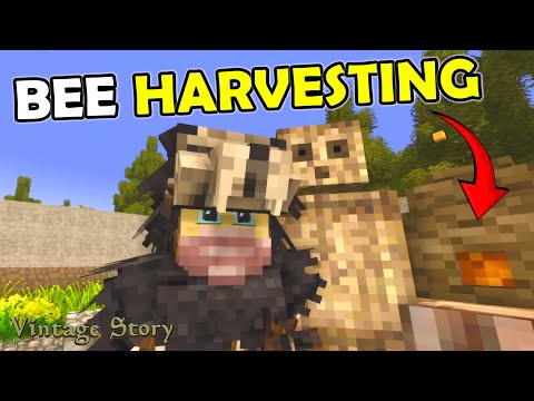 Raccolta di api per quel dolce miele! - Vintage Story 1.21 (2025) - Ep 19