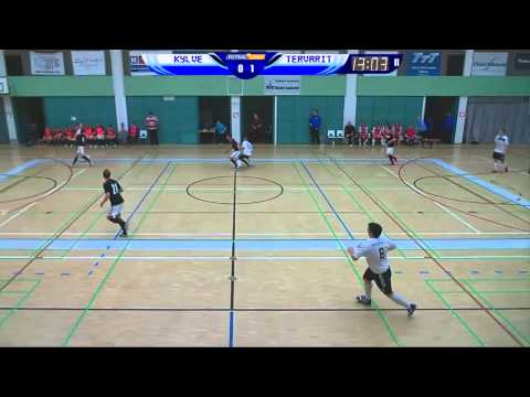 23.11.2013 KylVe - Tervarit maalikooste