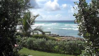 preview picture of video 'Fun at Surfers Point Barbados'
