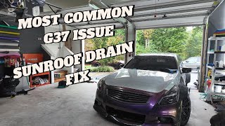 MOST COMMON G37 ISSUE | SUNROOF DRAIN FIX