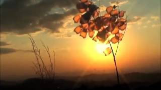 Marisa Monte - Arrepio