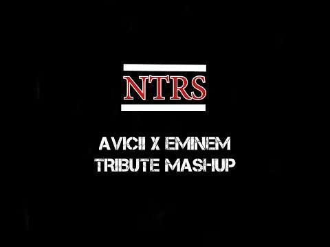 Anthers Avicii x Eminem tribute mashup