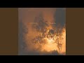 Wildfire