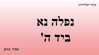 נפלה נא ביד ה'