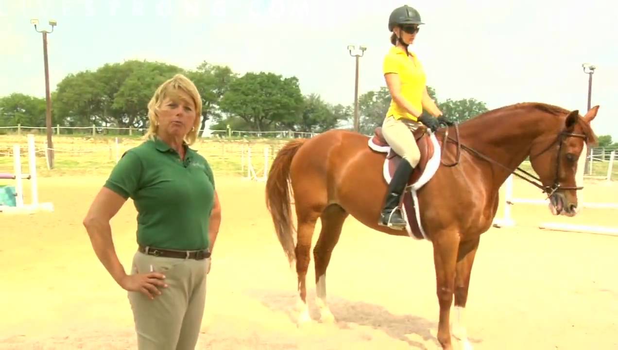 Basic instructional formats to riding a horse