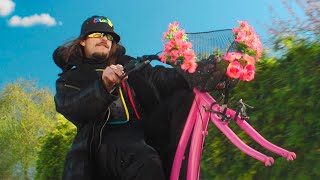 Catastrophe Lyrics English Translation