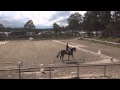 Fernhill Adventure Biscuit Dressage Fontainebleau CIC