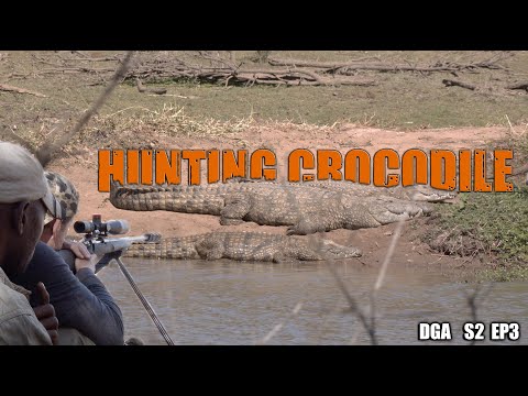 HUNTING CROCODILE - Season 2 Episode 3