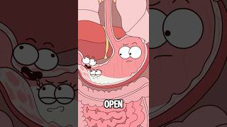 What Really Happens When You Throw Up?#animation #funny #shorts