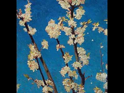 Elsiel - Moody Stars