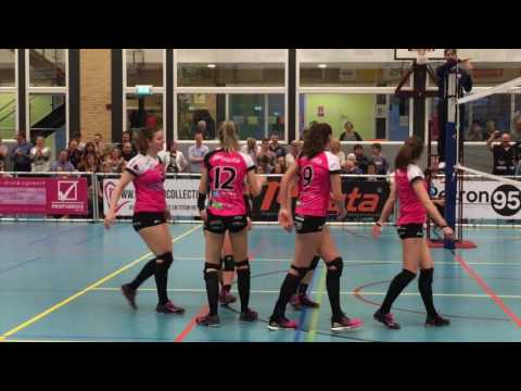 Flamingo's   Eurosped