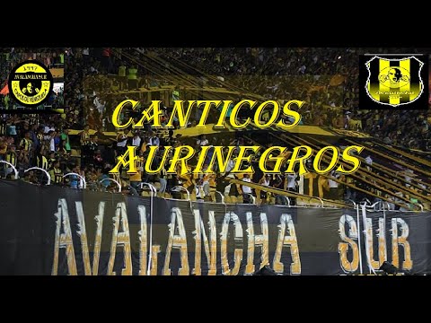 "CANTICOS AURINEGRO // AVALANCHA SUR 1997 CAPOS DE VENEZUELA" Barra: Avalancha Sur • Club: Deportivo Táchira • País: Venezuela