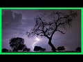 Sound Of Rain And Thunder 4 Hours Strong Storm Relax Rain And Thunder To Sleep
