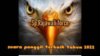 Download lagu suara panggil walet⁉️SP.RAJAWALI FORCE,terbaik tahun 2022 mp3 Download lagu suara panggil walet⁉️SP.RAJAWALI FORCE,terbaik tahun 2022 mp3