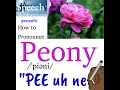 How to Pronounce Peony