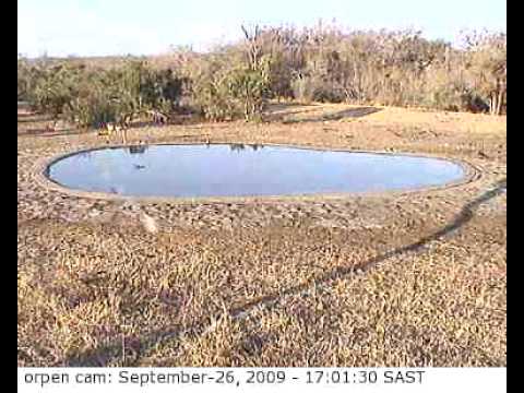 Orpen Cam 2009-09-26