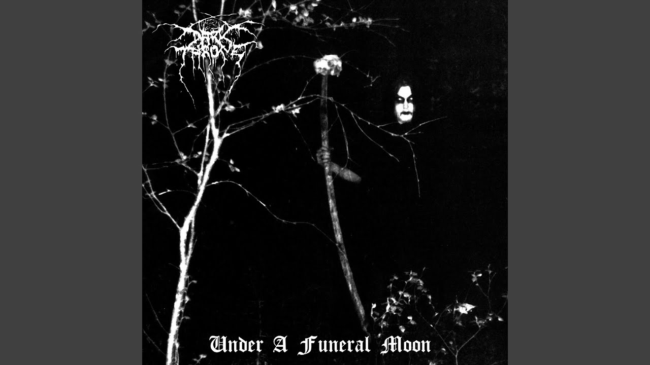 Inn I De Dype Skogens Fabn (Studio)