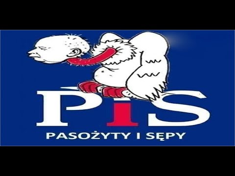 "W siną dal” autostrwa Cypisa, ponad 4 mln wyświe