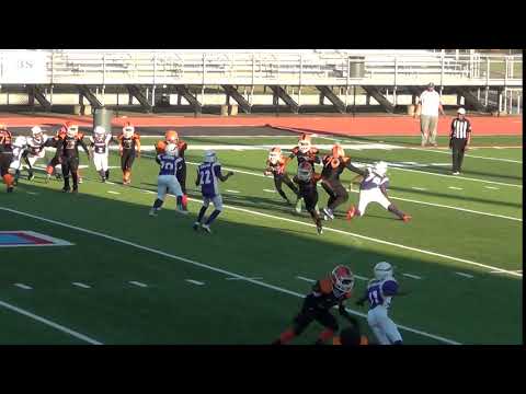 New Orleans Panthers Superbowl 2017