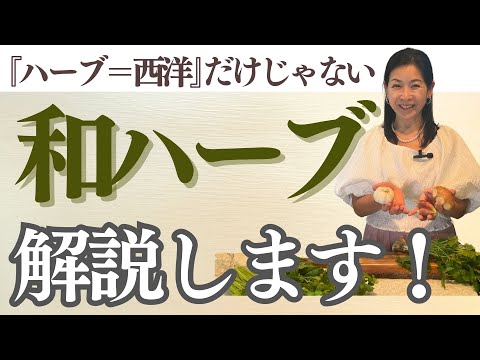 医療ビジネス薬科学科 【ハーブ＝西洋だけじゃない】和ハーブ解説します！