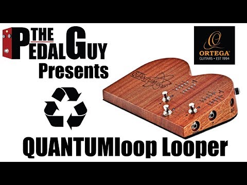 ThePedalGuy Presents the Ortega QUANTUMloop Looper