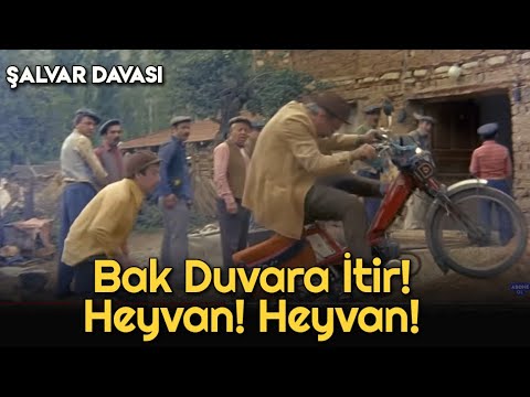 Şalvar Davası - Bak Duvara İtir Heyvan Heyvan