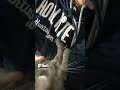 Unveiling The Rewards Of Rehabilitating A Grey Tabby Cat Shorts