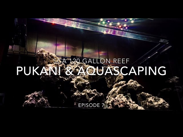 SCA 120 Gallon Reef Tank | Ep.7 | Aquascaping, Pukani Rock & Aquaforest Stone Fix