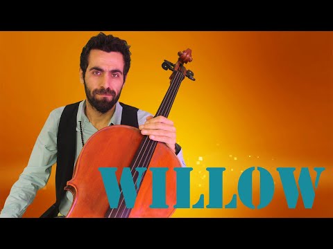 Taylor Swift - Willow ( Cello Cover)