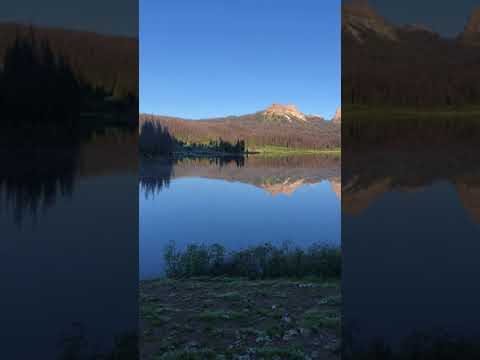 Just a little morning zen, from campsite #5, while I'm making coffee :)